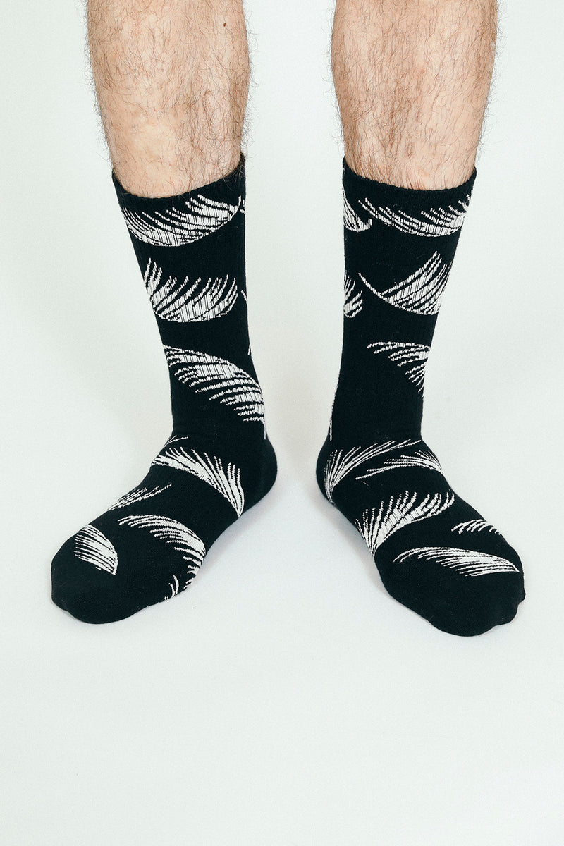 Palms