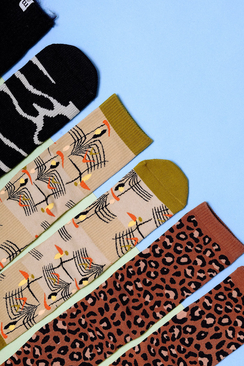 Pitter Patterns Gift Set